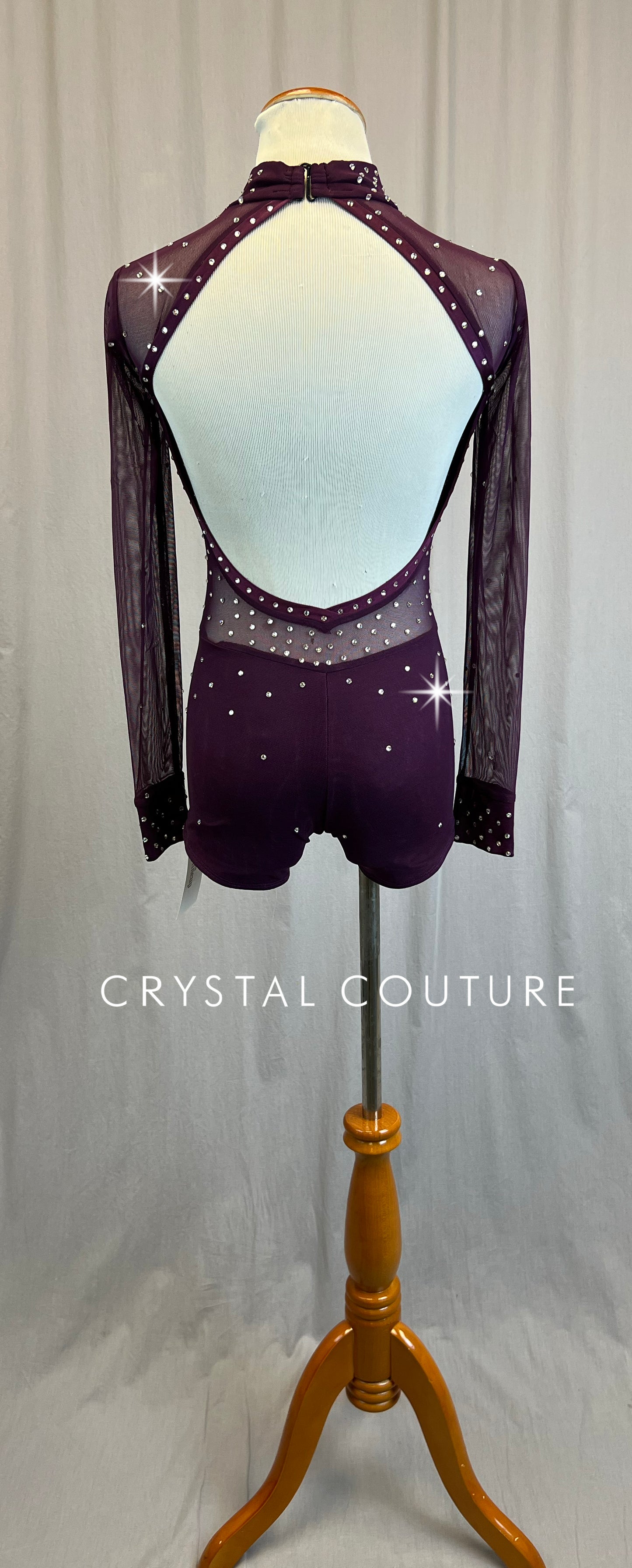*Brand New* Plum Mesh and Lycra Long Sleeve Biketard - Rhinestones