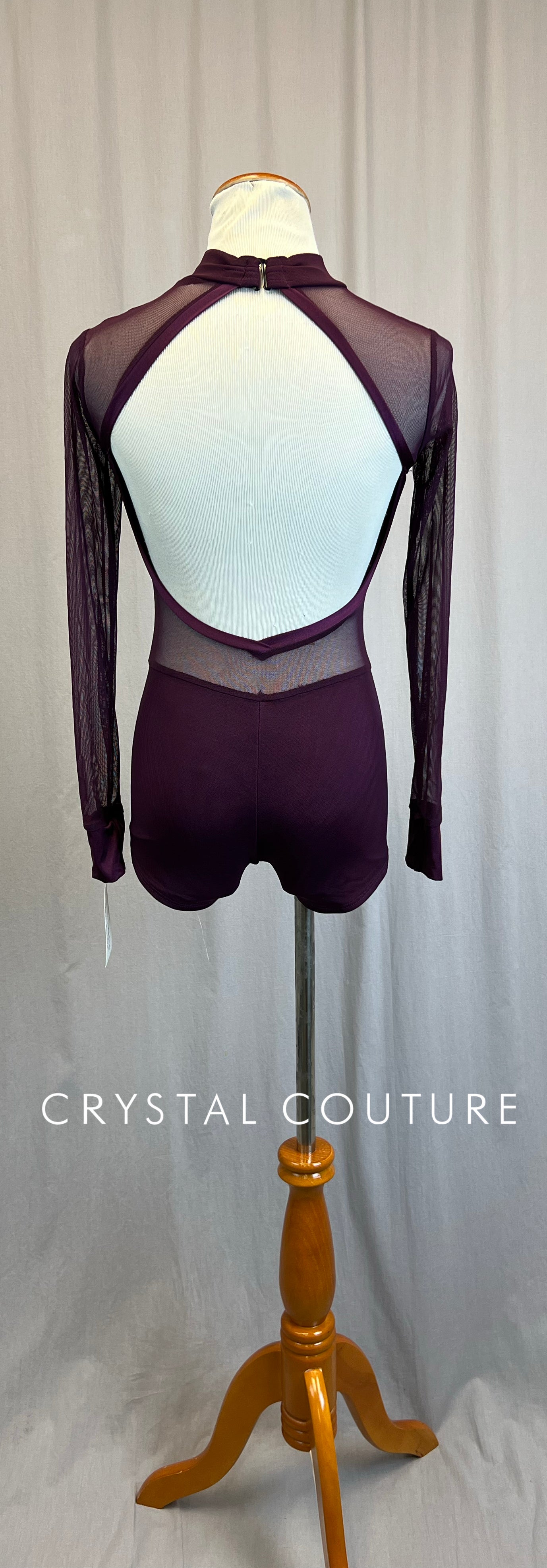 *Brand New* Plum Mesh and Lycra Long Sleeve Biketard