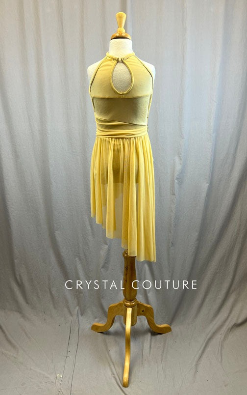 Gold Mesh Overlay Lyrical Dress with Applique