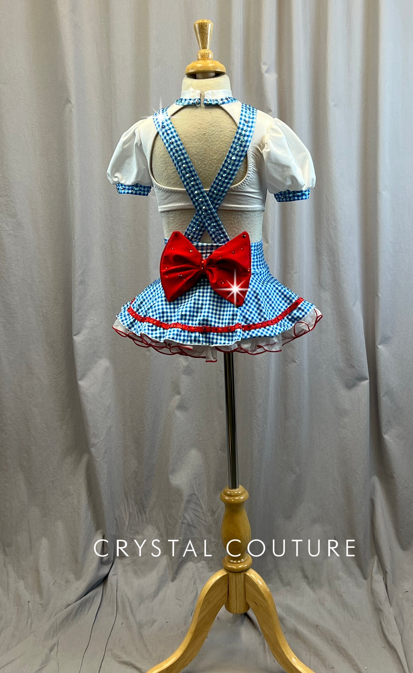 Custom Dorothy Inspired 2 Piece Top and Skirt Set -Rhinestones, Hairpiece