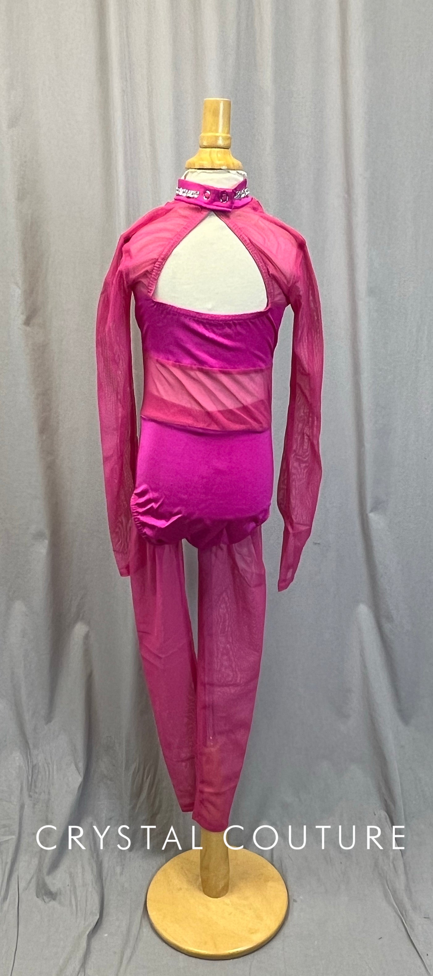 Pink Mesh Long Sleeve Leotard + Mesh Pant