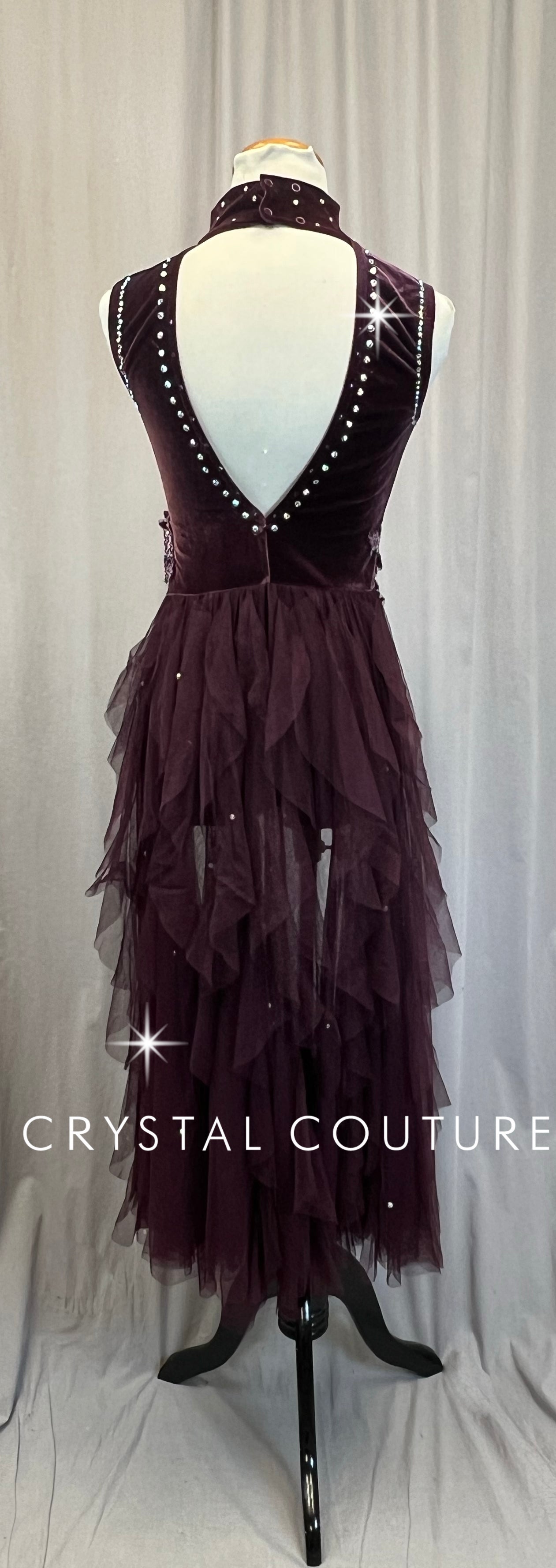 Plum Velvet Leotard with Long Mesh Half-Skirt - Rhinestones