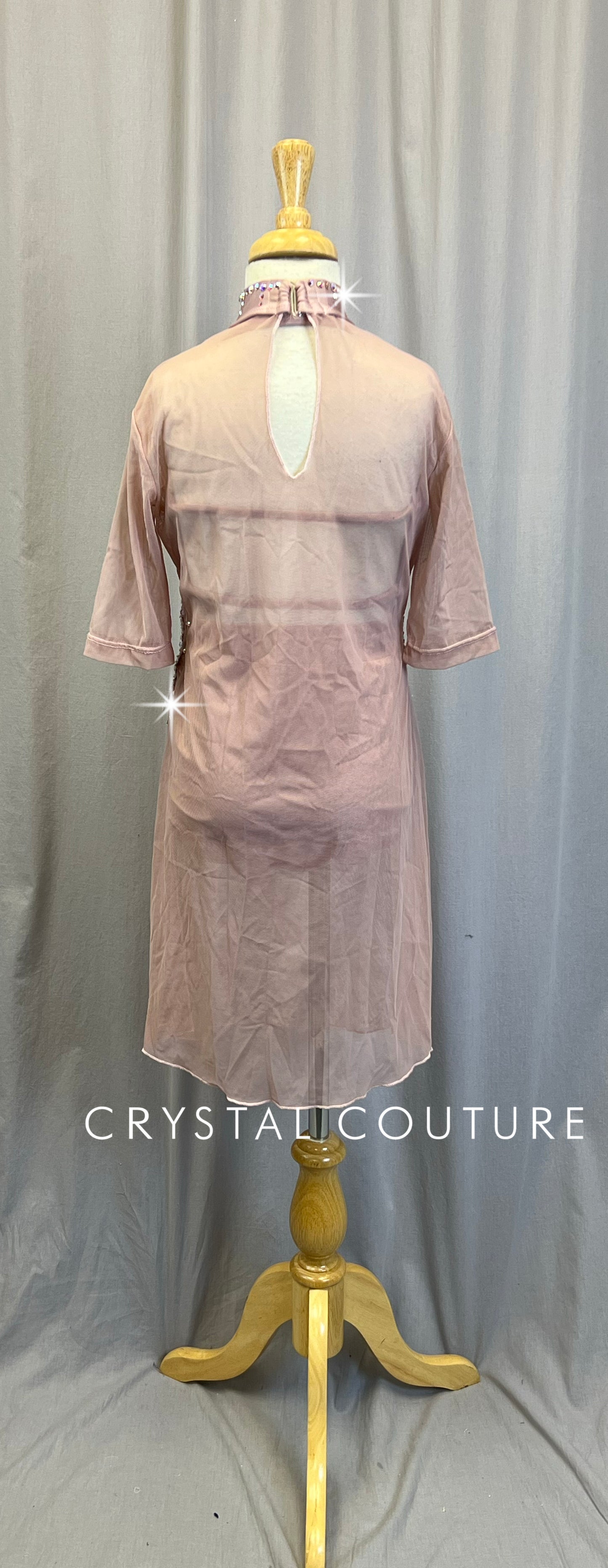 Custom Dusty Rose Mesh Dress with Matching Top and Briefs - Appliques Rhinestones