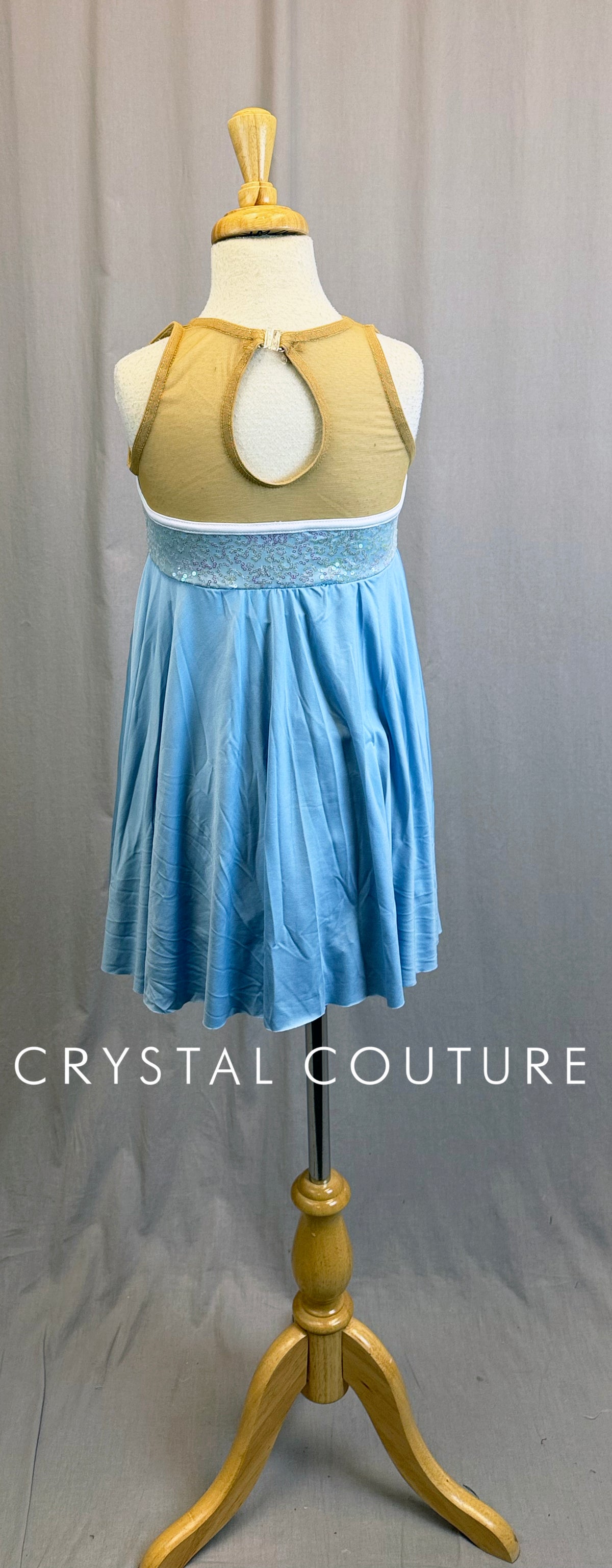 *Cinderella* Inspired "Rags to Riches" Transition Dress