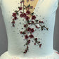 White Floral Romantic Tutu with Chiffon and Tulle Skirt - Swarovski Rhinestones