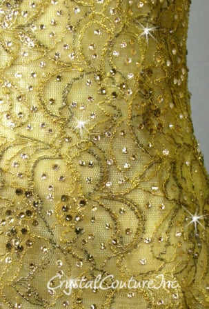 Brown Lace Overlay with Ivory Leotard - Swarovski Rhinestones