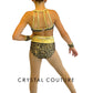 Two Piece Leopard Print Bra Top and Trunks with Gold Accents - Rhinestones and Appliques