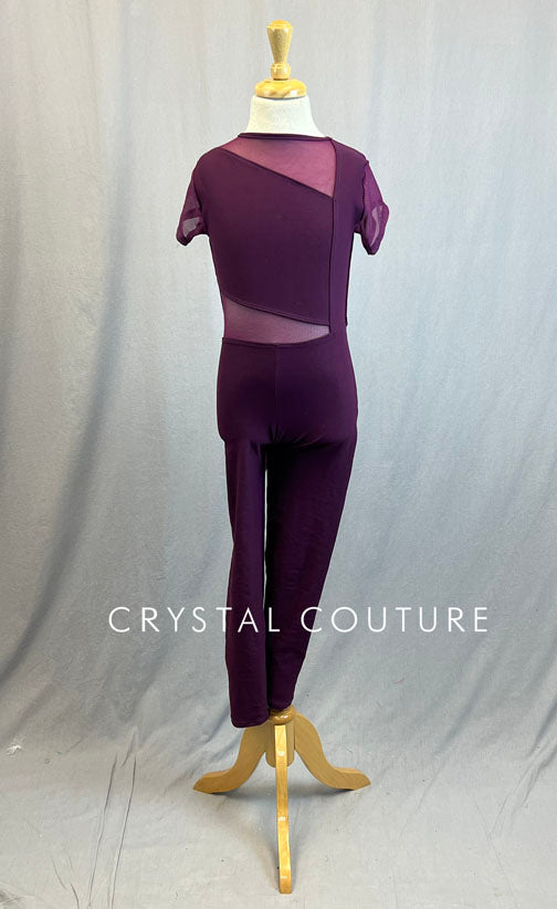 Plum Unitard with Mesh Inserts