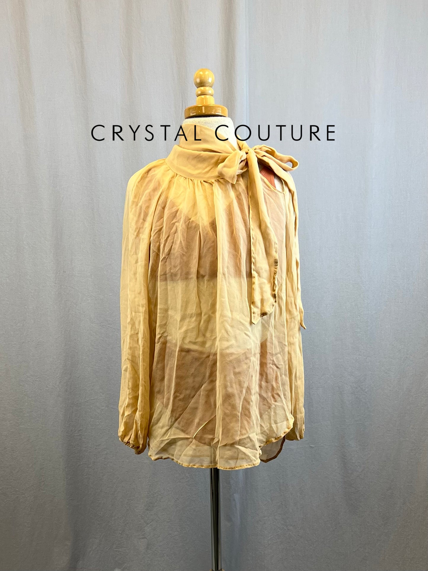 Custom Nude Semi-Sheer Mesh-like fabric Long Sleeve Top and Burnt Orange Brief and Bra Top Three-Piece Set