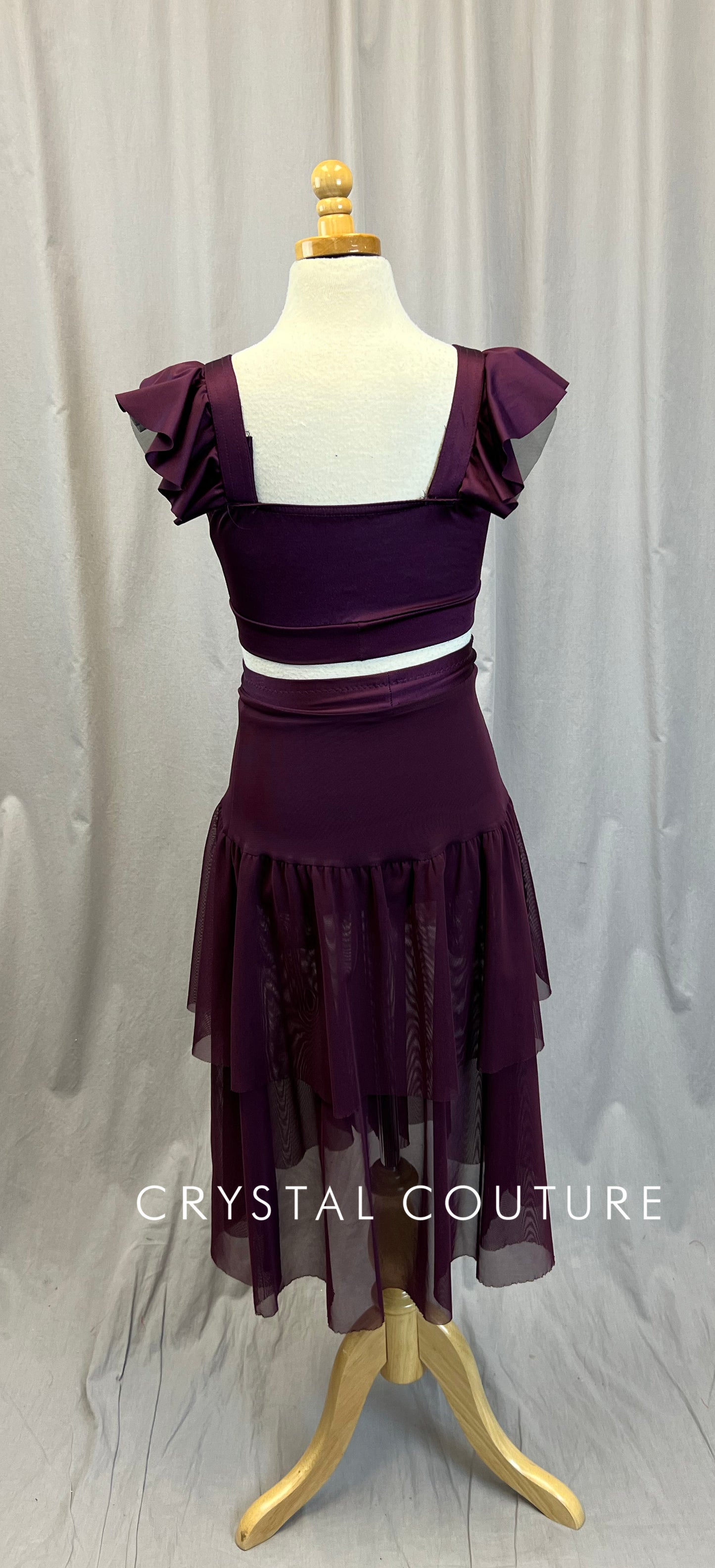 Plum Two-Piece with Mesh Skirt and Ruffle Top