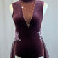 Plum Velvet Leotard with Mesh Back Skirt