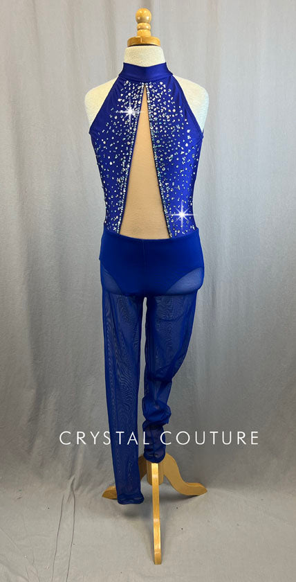 Custom Plum Lycra and Mesh Unitard with Rhinestones