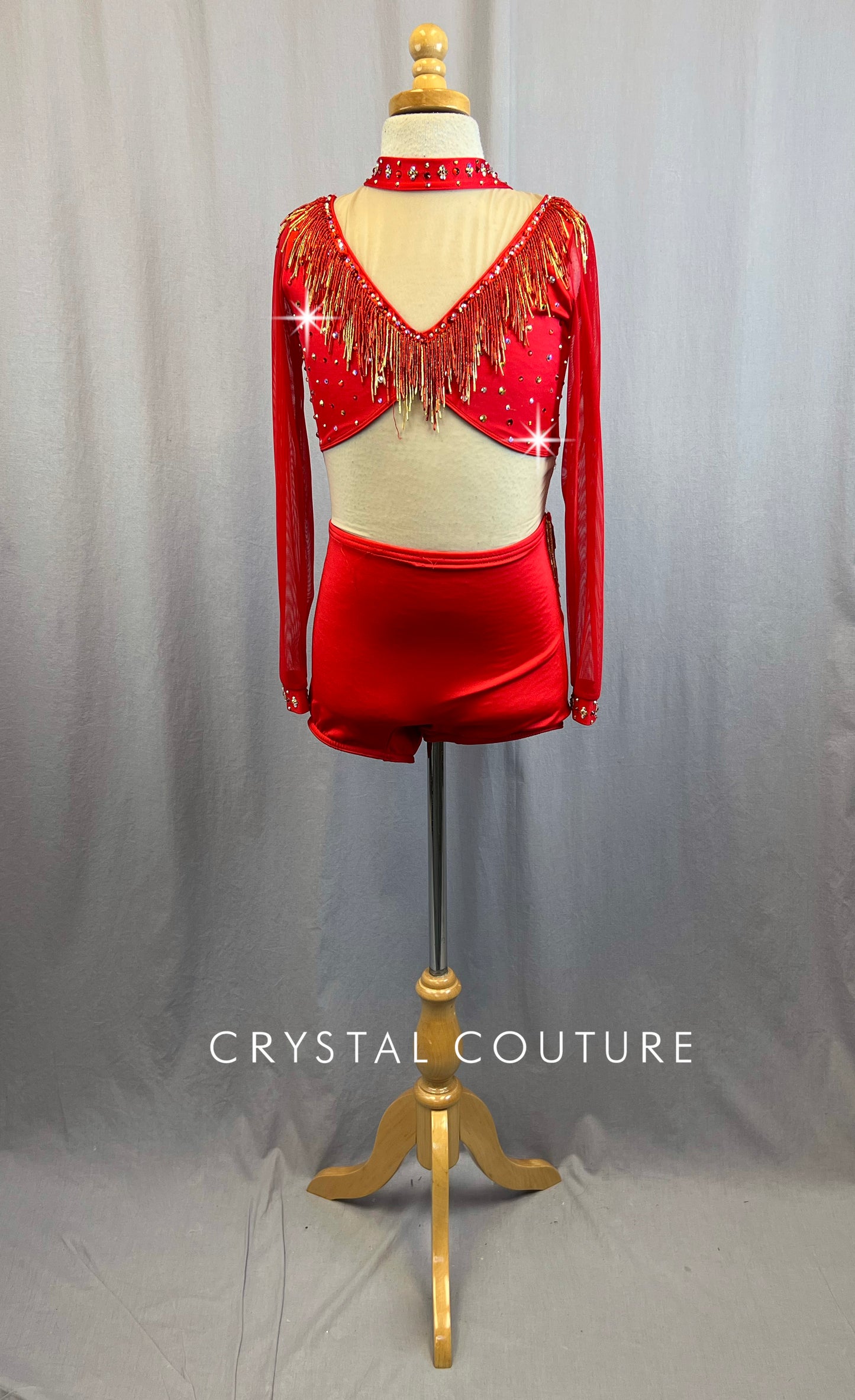 Custom Red Biketard With Nude Mesh Bodice and Neckline With Long Sleeves and Rhinestones