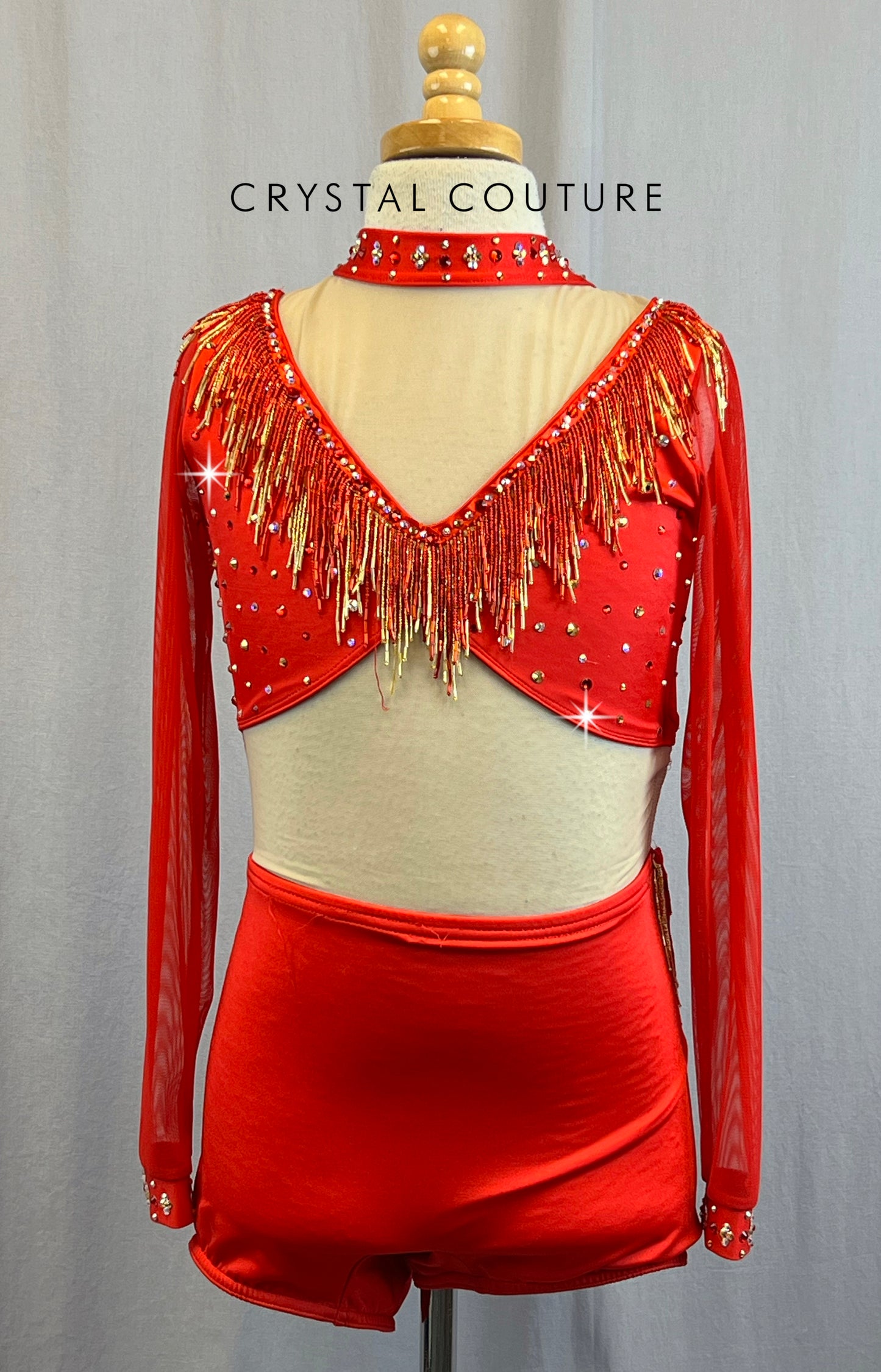 Custom Red Biketard With Nude Mesh Bodice and Neckline With Long Sleeves and Rhinestones