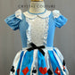 Princess Tutu Dress- Alice