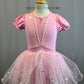 Princess Tutu Dress- Aurora