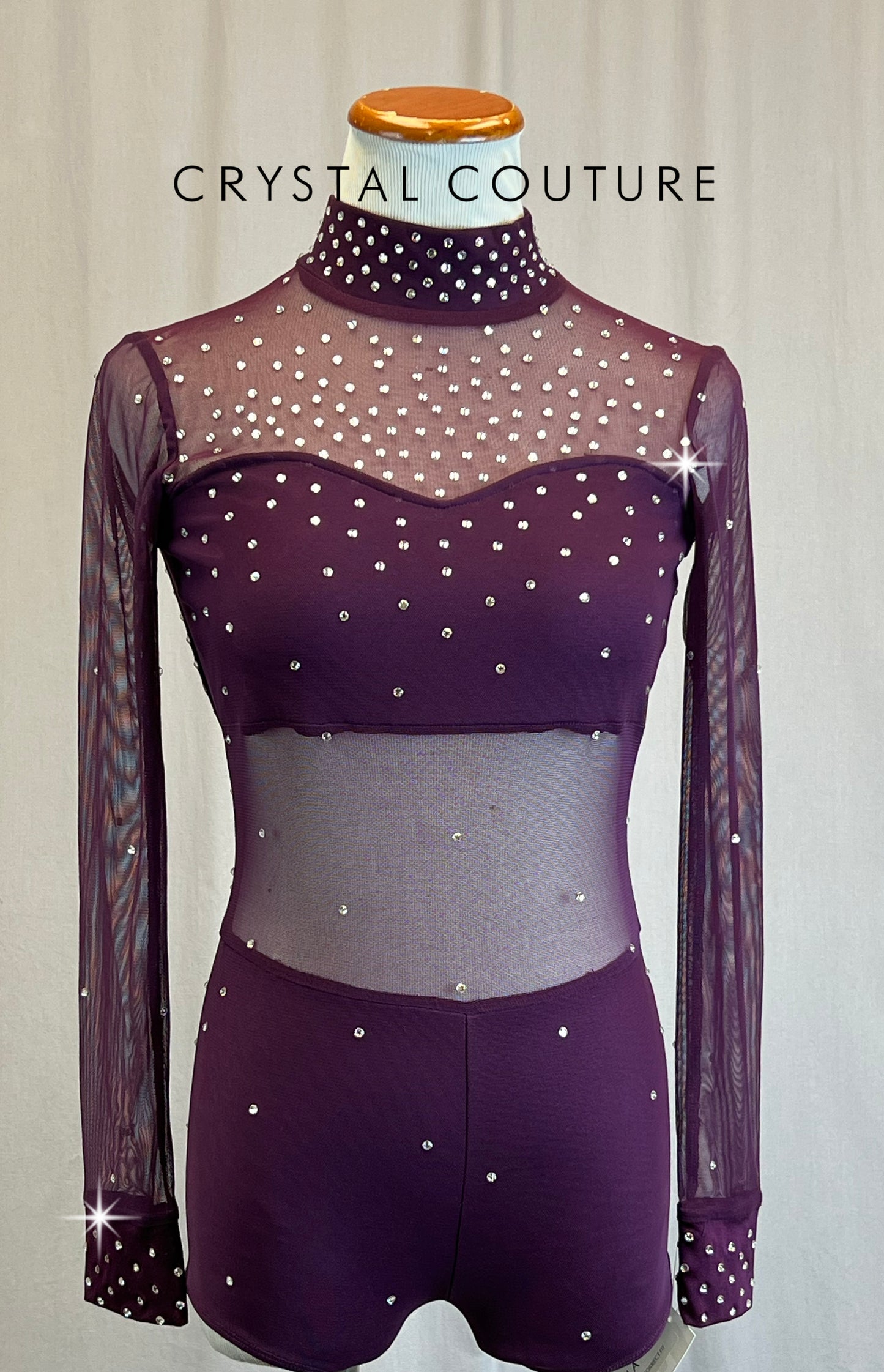 *Brand New* Plum Mesh and Lycra Long Sleeve Biketard - Rhinestones