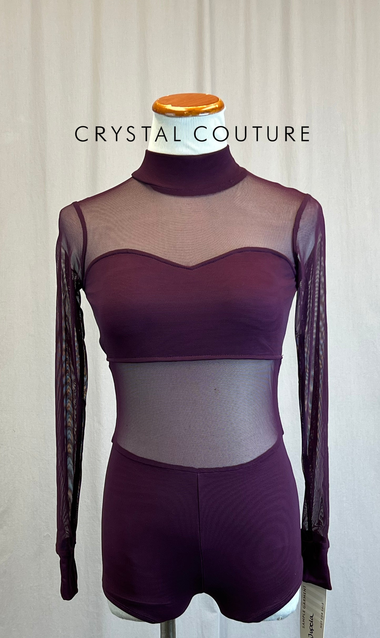 *Brand New* Plum Mesh and Lycra Long Sleeve Biketard