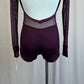 *Brand New* Plum Mesh and Lycra Long Sleeve Biketard