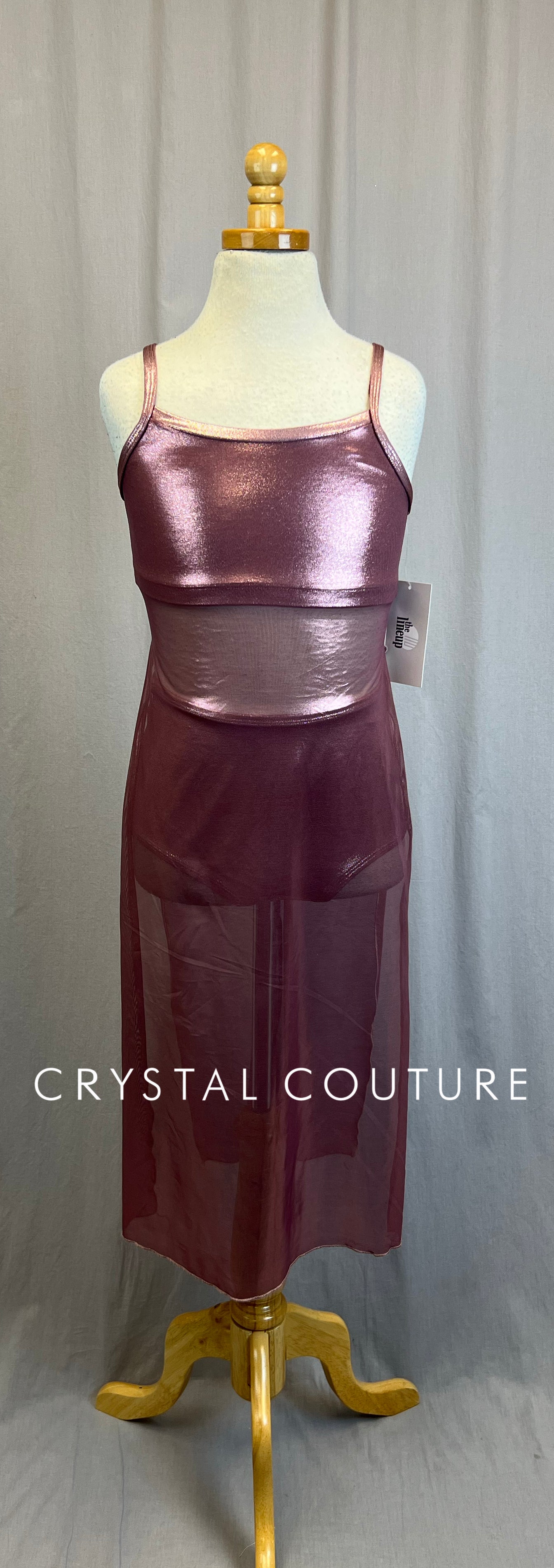 *Brand New* Rose Metallic Mesh Dress with Briefs Set