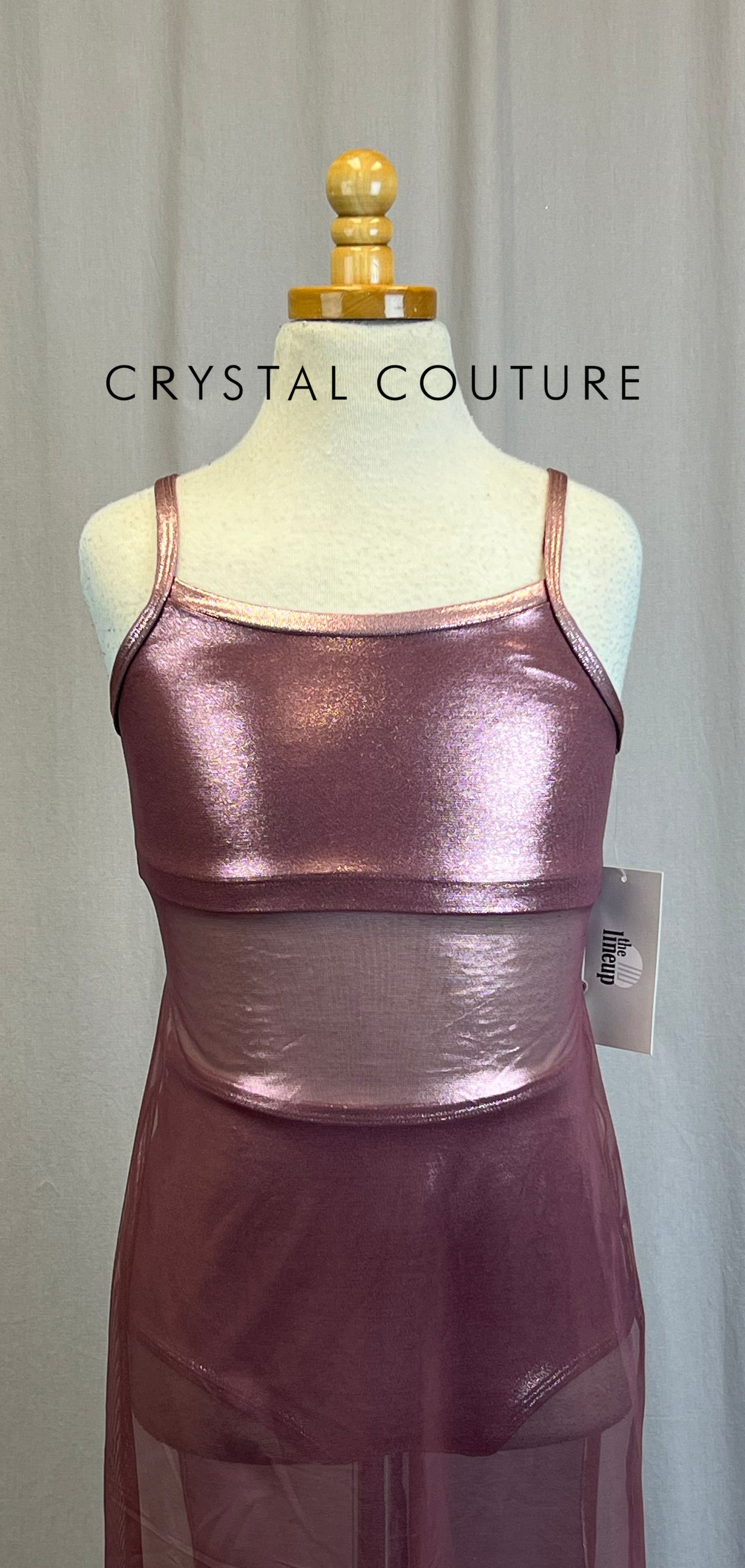 *Brand New* Rose Metallic Mesh Dress with Briefs Set