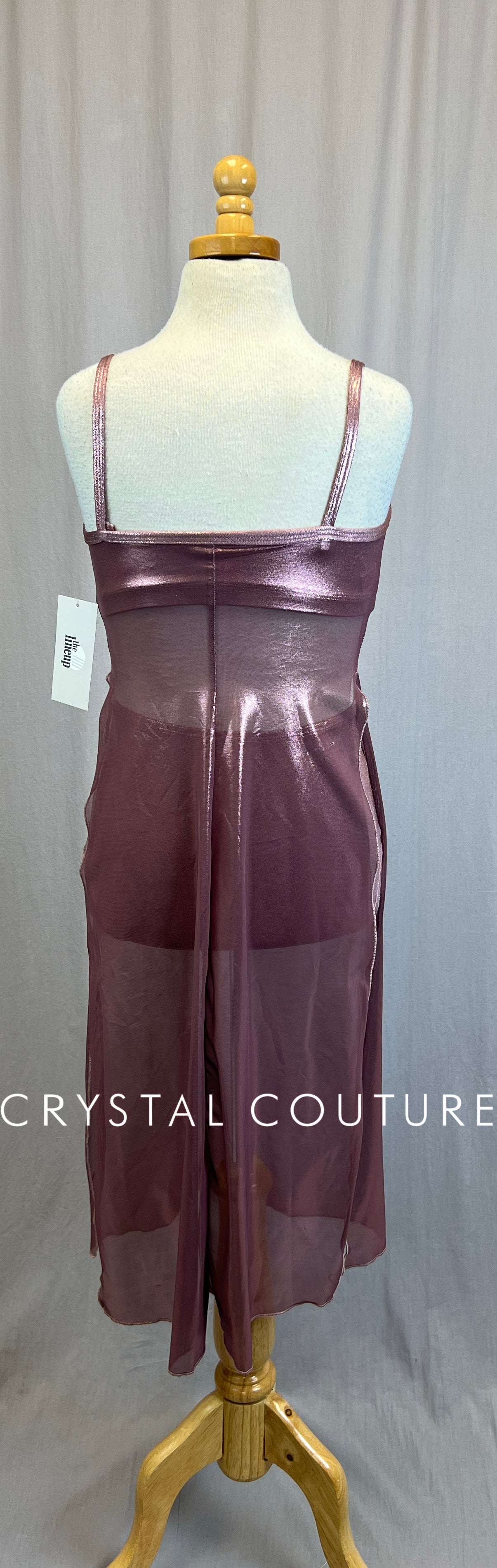 *Brand New* Rose Metallic Mesh Dress with Briefs Set