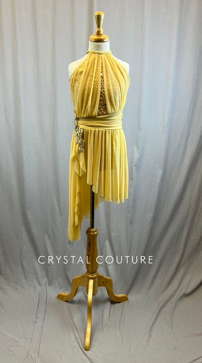 Gold Mesh Overlay Lyrical Dress with Applique