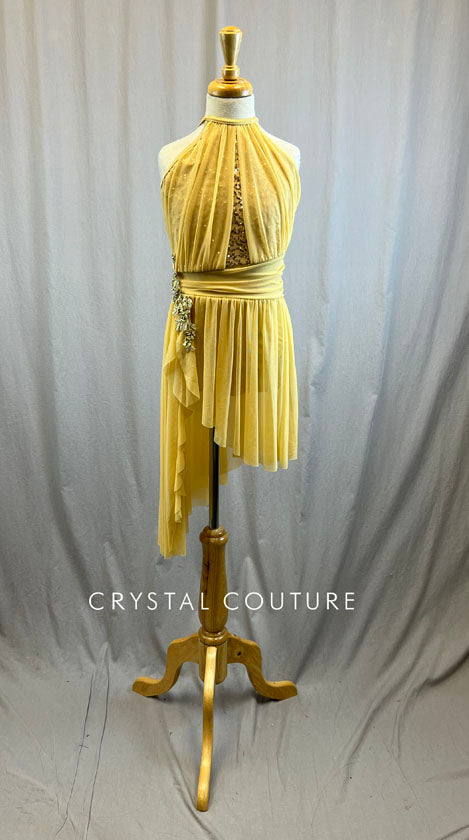 Gold Mesh Overlay Lyrical Dress with Applique