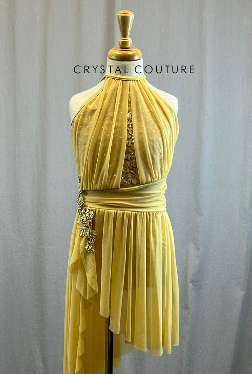 Gold Mesh Overlay Lyrical Dress with Applique