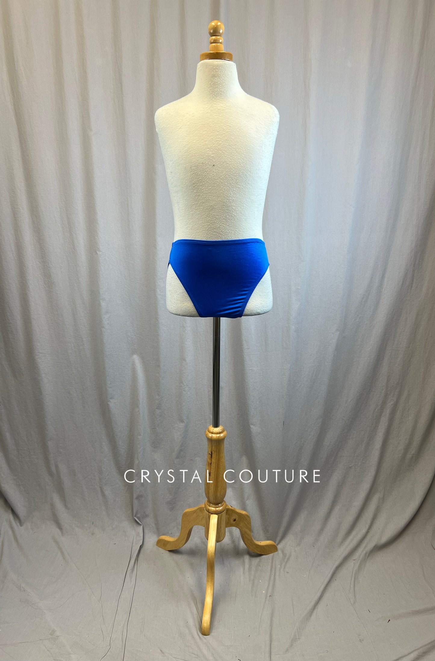 *Brand New* Royal Blue High Waist Briefs
