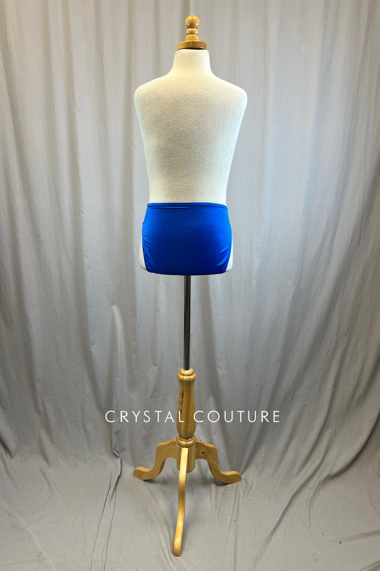 *Brand New* Royal Blue High Waist Briefs
