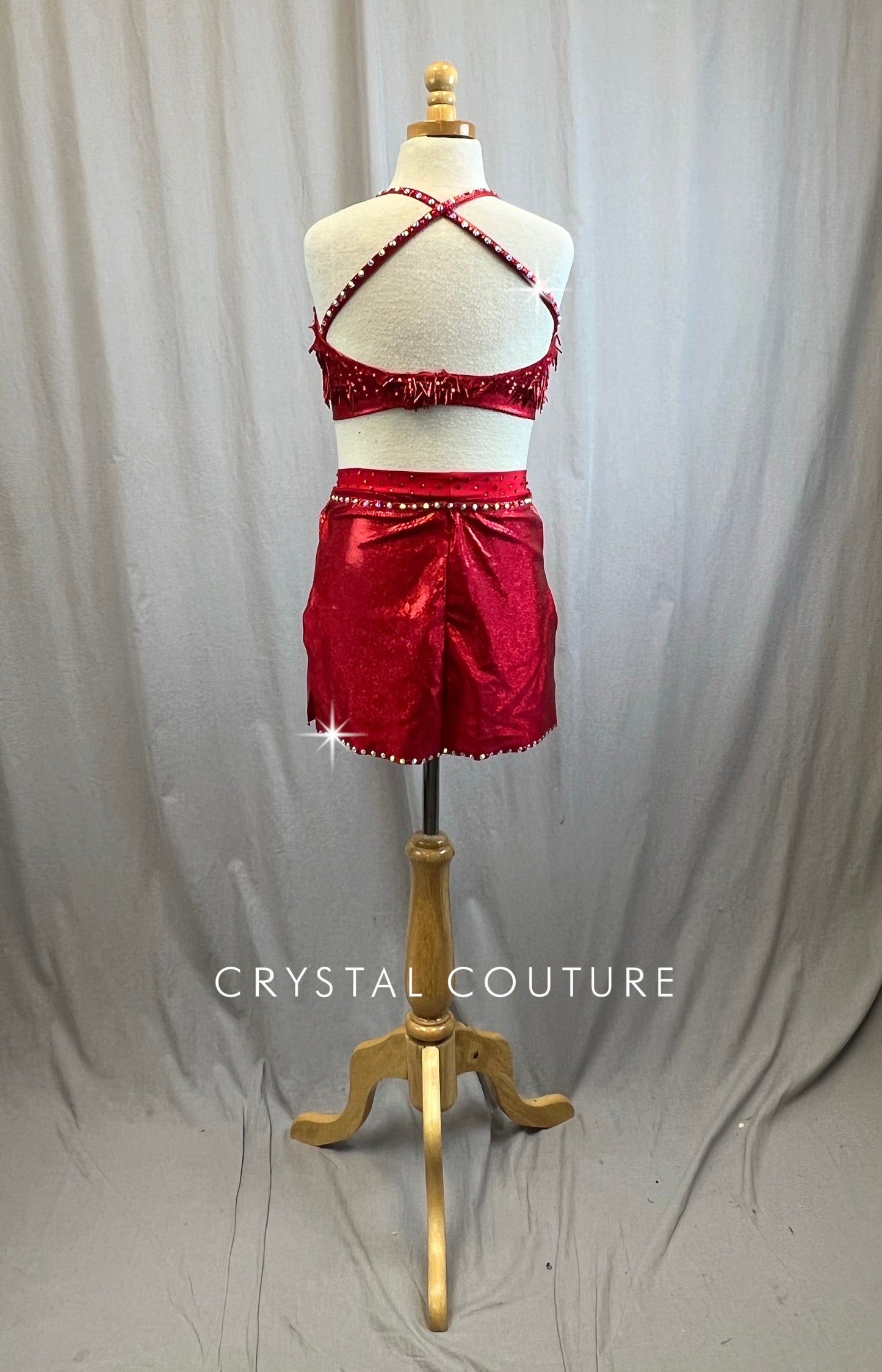 Custom Metallic Red Sequin and Beaded Fringe Lycra Dress -Rhinestones