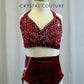 Custom Burgundy Velvet Crop Top and Brief Two-Piece Set- Rhinestones