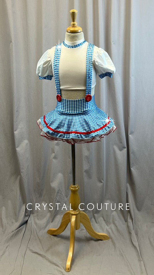 Custom Dorothy Inspired 2 Piece Top and Skirt Set -Rhinestones, Hairpiece