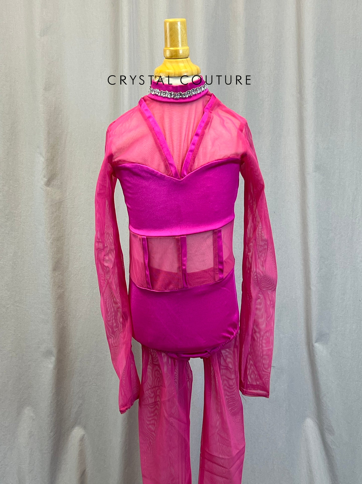 Pink Mesh Long Sleeve Leotard + Mesh Pant