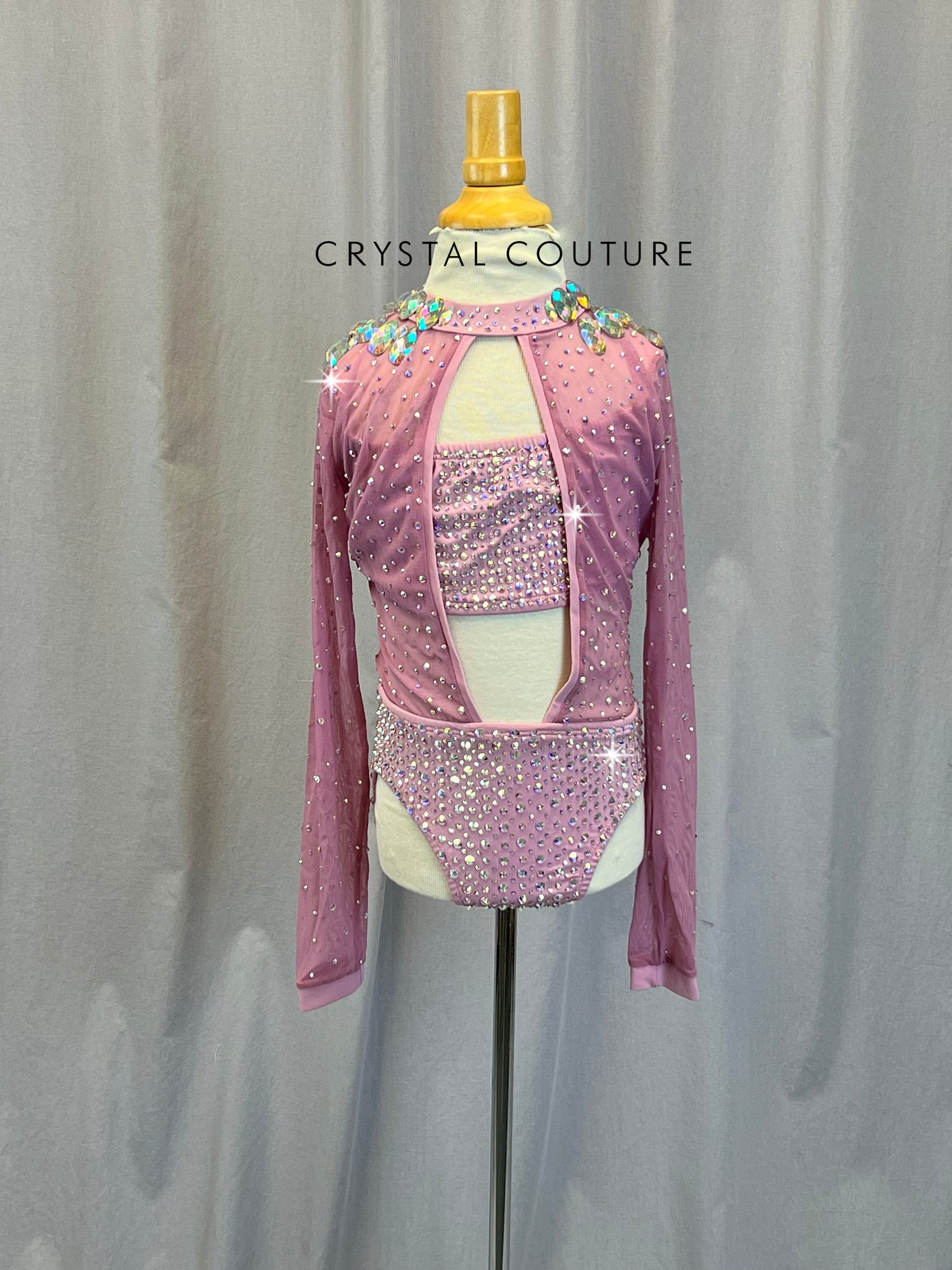 Mauve/Lilac Mesh Long Sleeve Leotard - Rhinestones