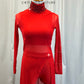 Red Mesh Long Sleeve Dress with Lycra built in top and separate shorts.