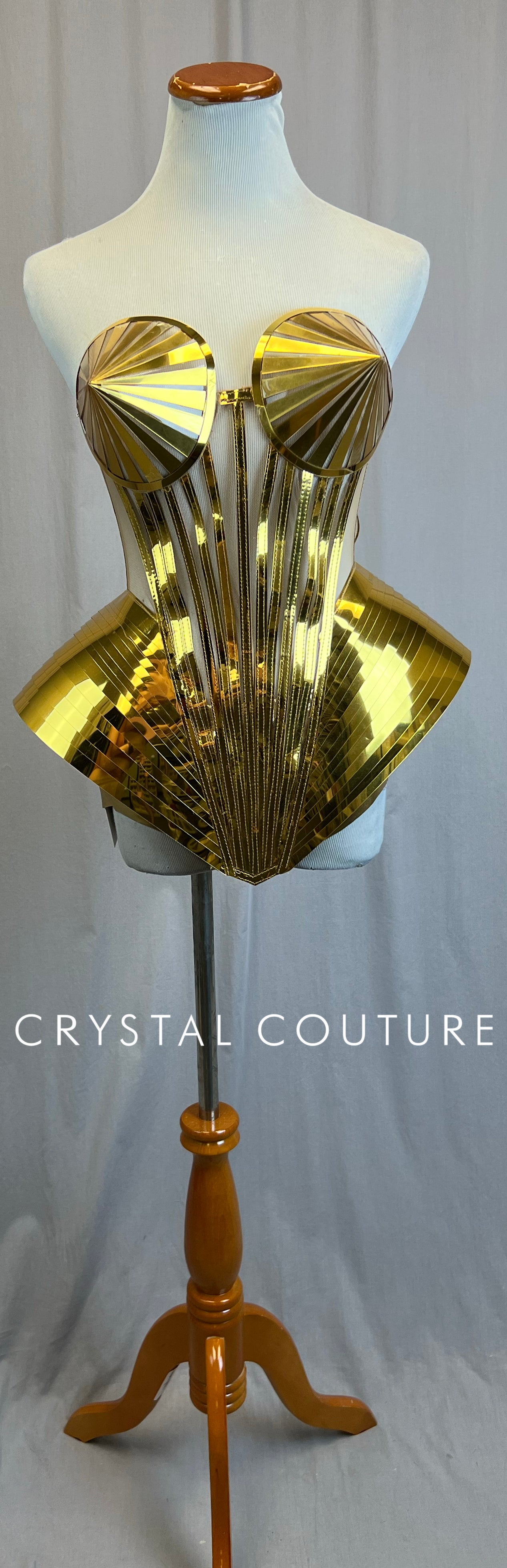Custom Gold Metallic Corset Top and Brief Set