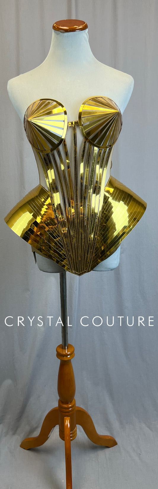 Custom Gold Metallic Corset Top and Brief Set