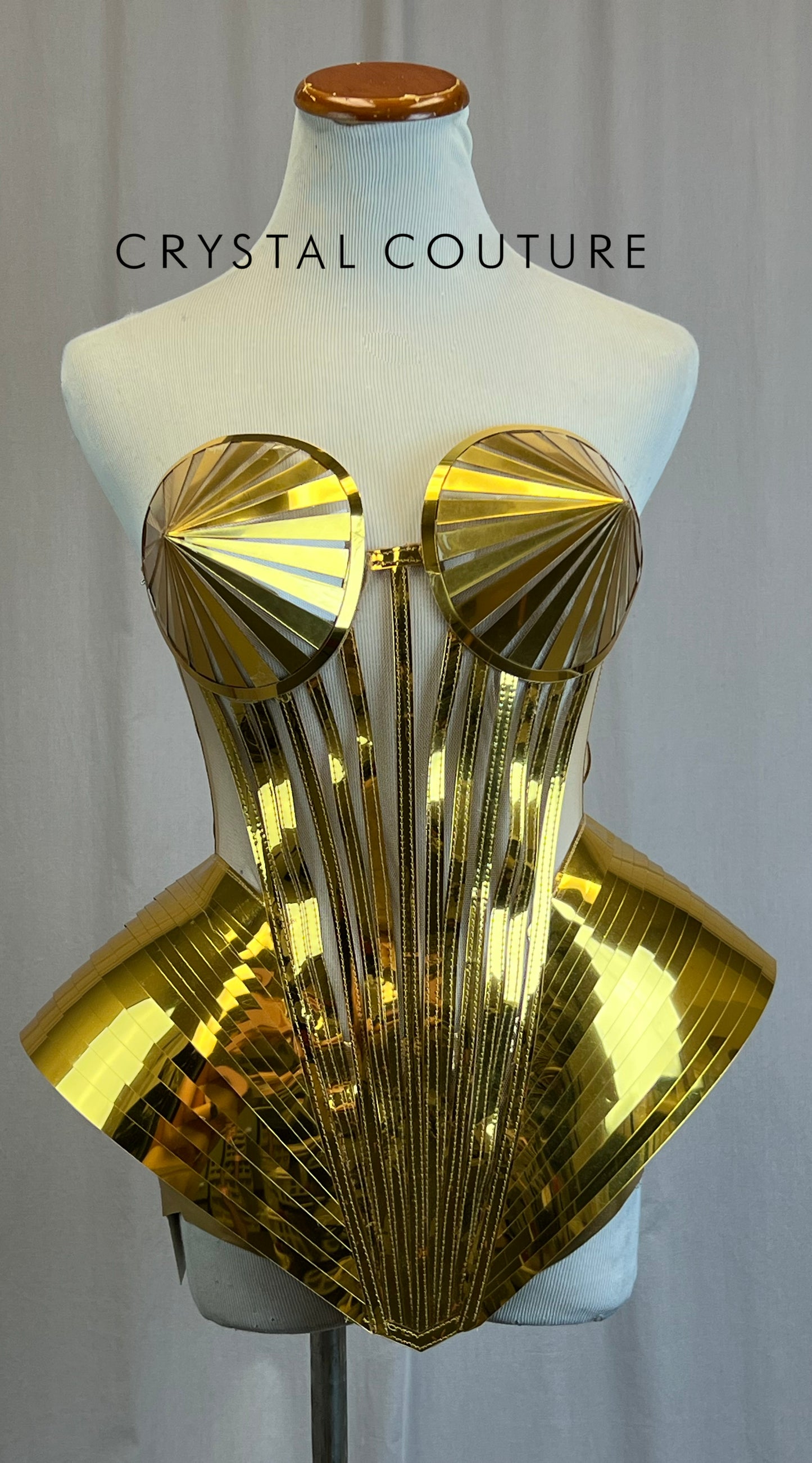 Custom Gold Metallic Corset Top and Brief Set