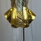 Custom Gold Metallic Corset Top and Brief Set