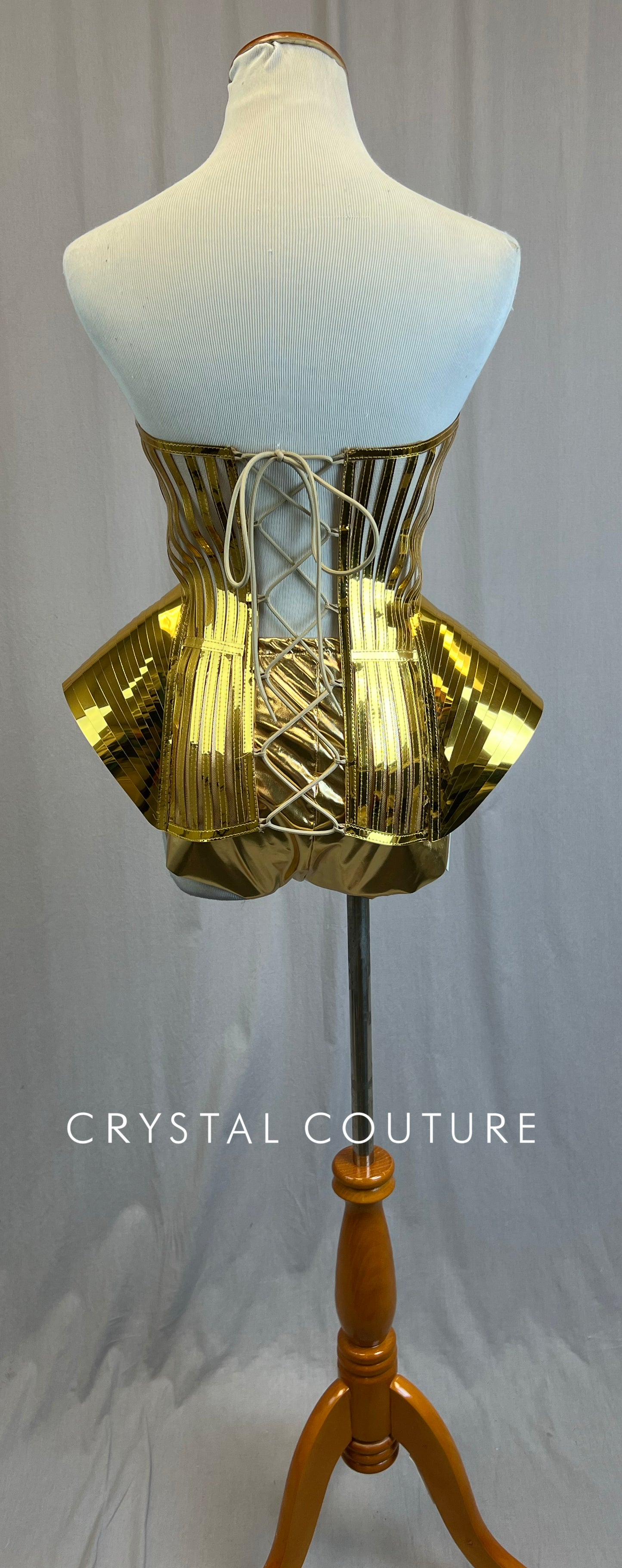 Custom Gold Metallic Corset Top and Brief Set