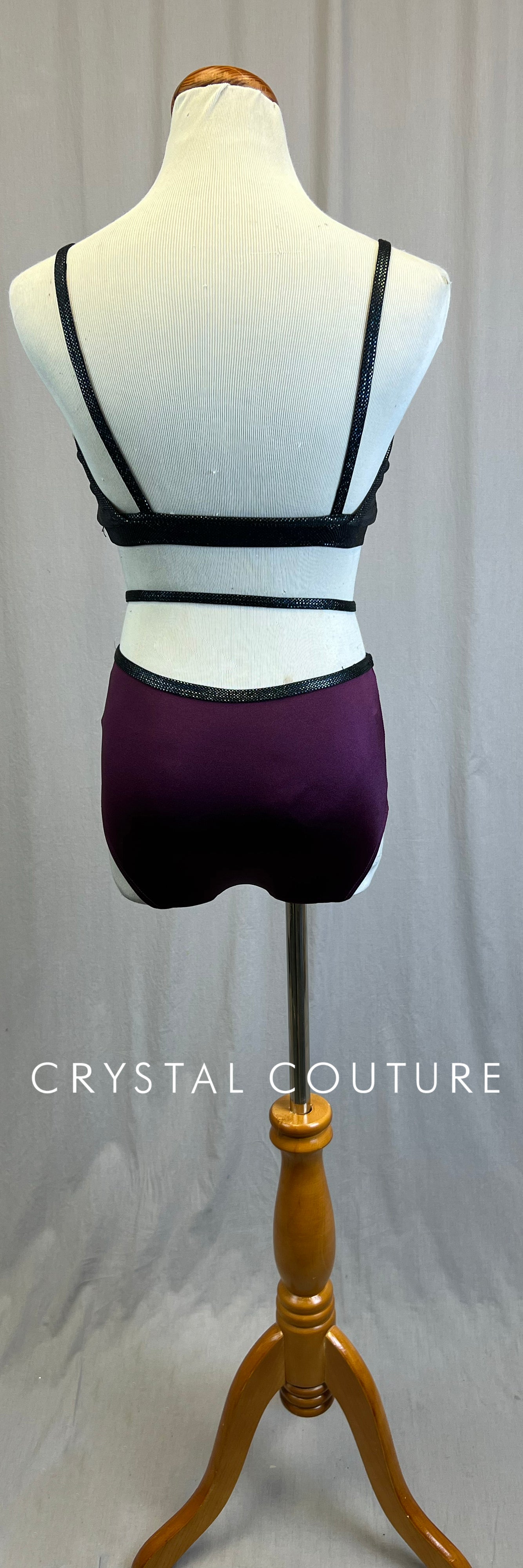 *Brand New* Plum and Black Holographic Brief and Bra Top Two-Piece Set