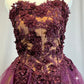 *Custom* Plum and Burgundy Romantic Style Skirt Ballet Dress with Floral Appliques - Rhinestones