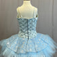 *Custom* Light Blue with Floral Holographic Sequin Detailing Platter Tutu - Rhinestones