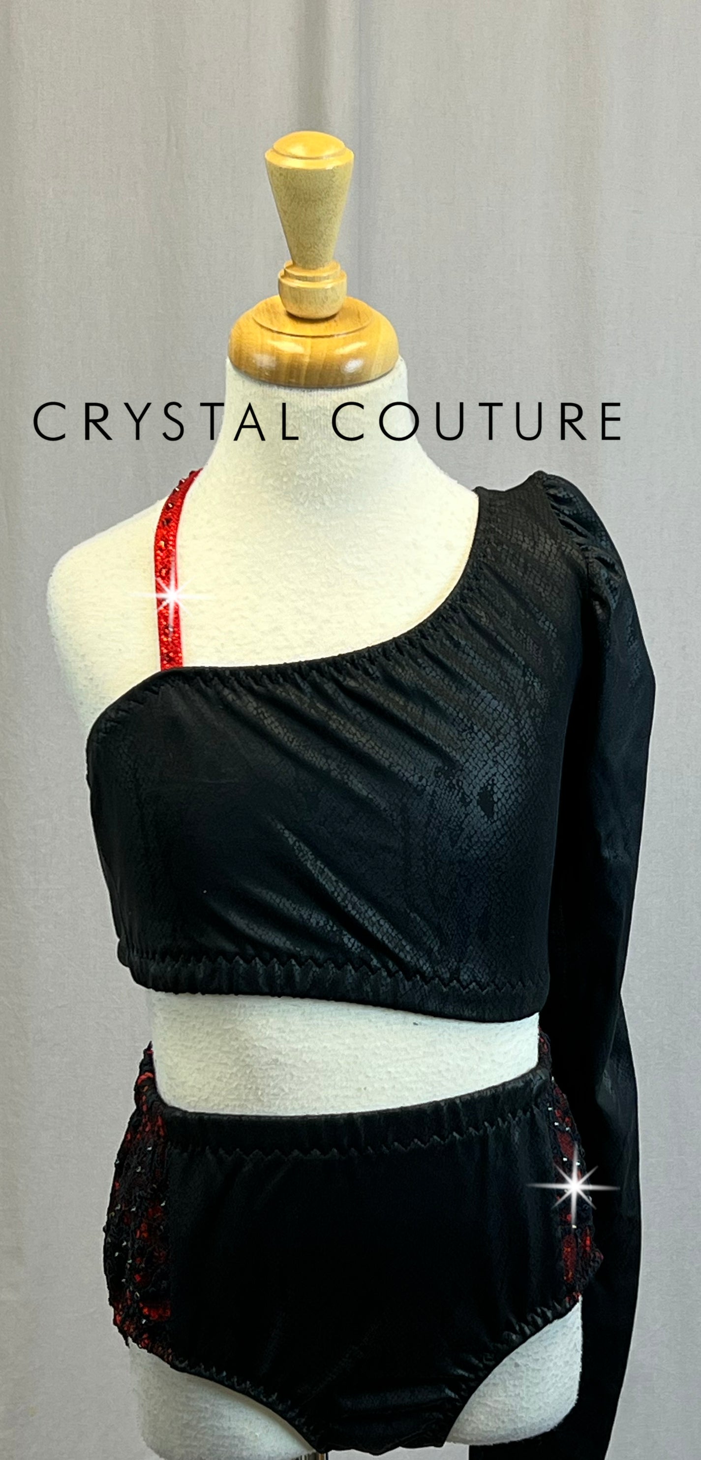 *Custom* Black Snakeskin with Red Accents Lycra Crop Top and Brief Set - Rhinestones