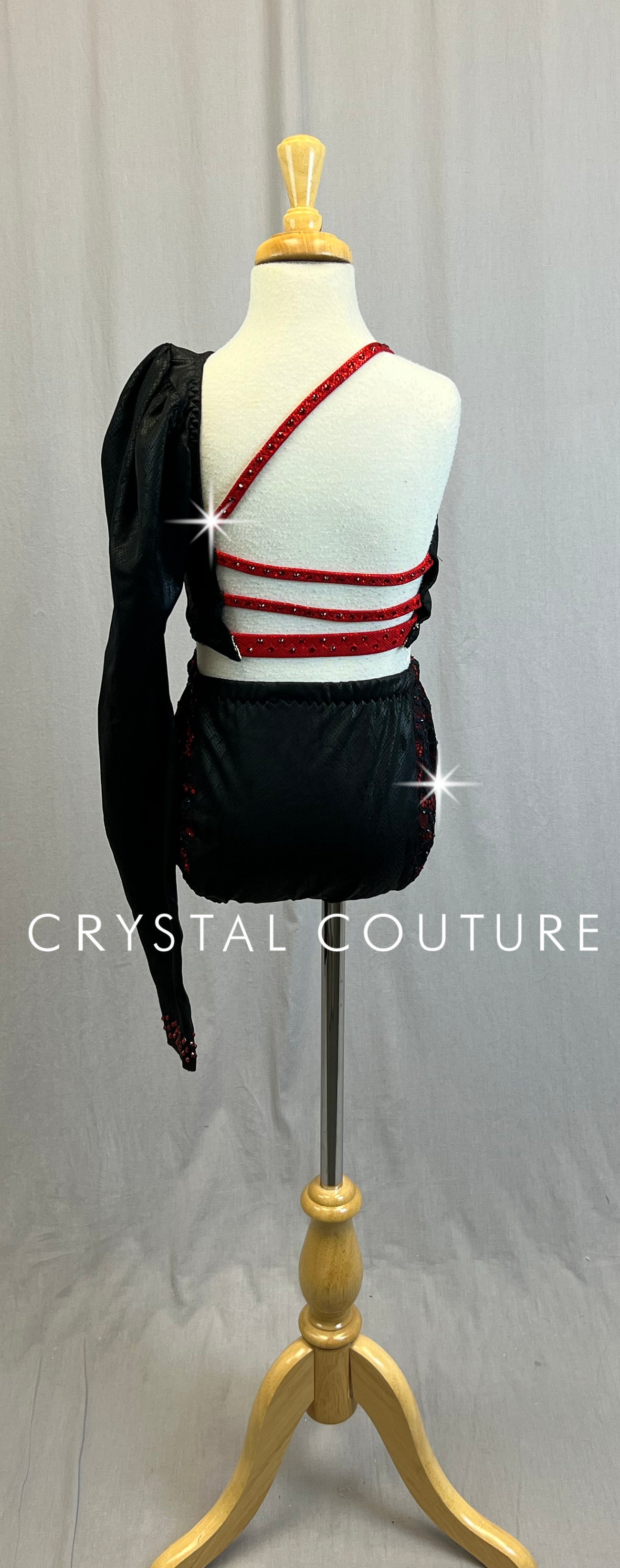 *Custom* Black Snakeskin with Red Accents Lycra Crop Top and Brief Set - Rhinestones
