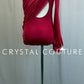 *Brand New* Red Asymmetrical Mesh Sleeve Leotard with Appliques - Rhinestones