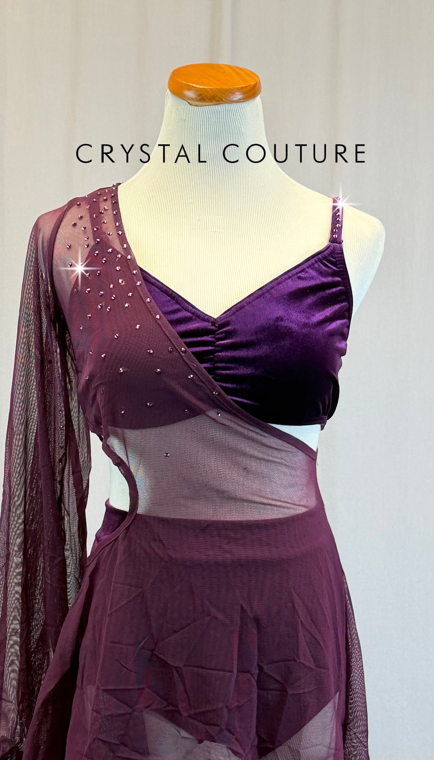 Plum Velvet Bra + Briefs Attached by a Mesh Asymmetrical Puff Sleeve Overlay Dress- Rhinestones