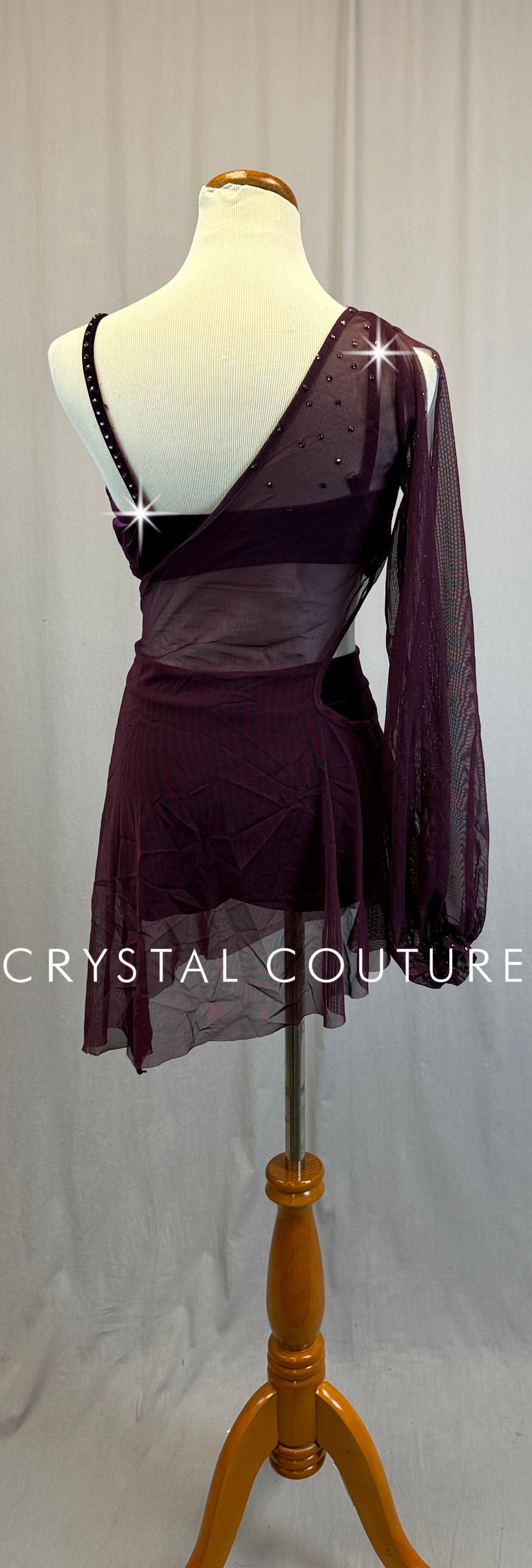 Plum Velvet Bra + Briefs Attached by a Mesh Asymmetrical Puff Sleeve Overlay Dress- Rhinestones